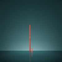 Rot
