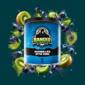 Banger Shisha Tabak Regionalliga After Game 200g – Blaubeere, Kiwi