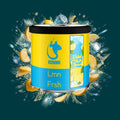 Dschinni Lmn Frsh – Frisch, Kühl, Lemon, Menthol, Zitrone