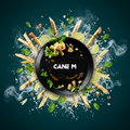 Blackburn Tabak Cane M 200g Shisha Tabak online kaufen bei Smokez