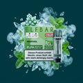 Elfbar Elfa Pod 2er Menthol online kaufen bei Smokez