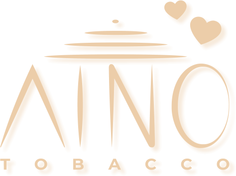 Aino Logo
